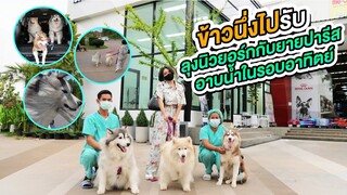 นึ่งพาพี่พี่มาอาบน้ำในรอบอาทิตย์ - ข้าวนึ่ง & เดอะแก๊ง