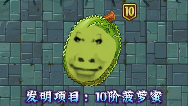 Dự án sáng chế: Quả mít 10 tầng!