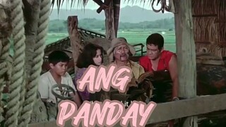 FPJ ACTION MOVIE'S ENGLISH SUBTITLES] [ANG PANDAY]