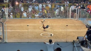 entry name.ARAY KO ATLU-BOLA BOYS 2HITS HULUTAN champion