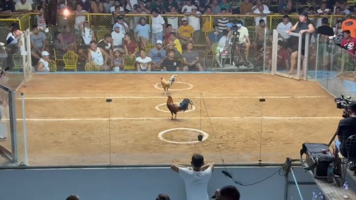 entry name.ARAY KO ATLU-BOLA BOYS 2HITS HULUTAN champion