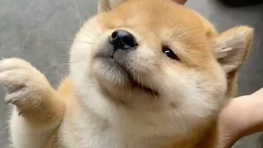 Cute crit! ! ! Welcome in! Don't blame me for not reminding you