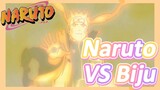 Naruto VS Biju