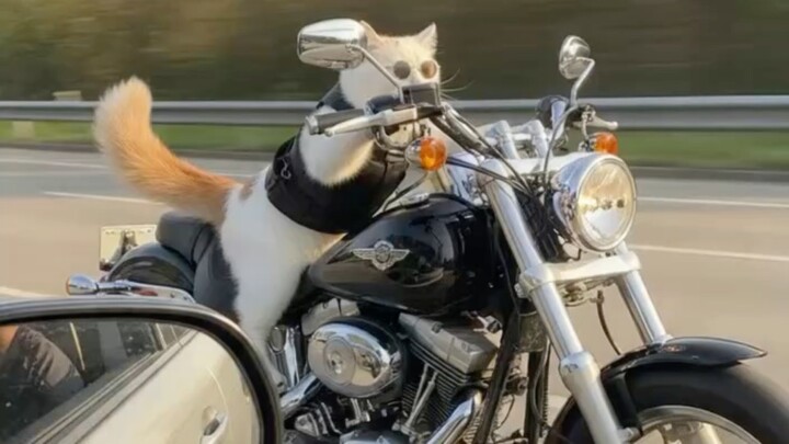 อย่างเท่