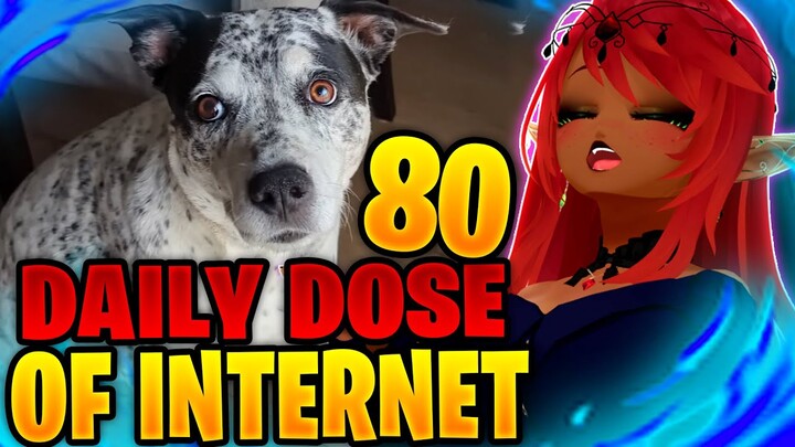 DOGGO! | Daily Dose of Internet Reaction