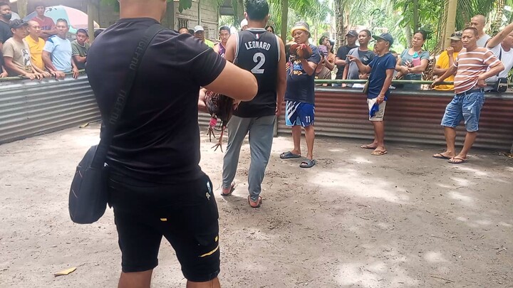 fiesta sa kapingkong