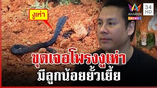 หนุ่มขุดเจอโพรงงูเห่าพร้อมลูกๆ จิลล์แนะให้จนท.นำไปปล่อยอย่าทำร้าย | ทุบโต๊ะข่าว | 7/12/67