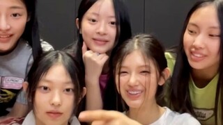 نيو جينز تكشف لأول مرة في البث المباشر عن زملائها في السكن وتُعلن عدم وجود قائد للفريق! مقطع من بث 6