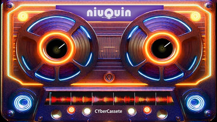 niuQuin - Para Vos ( CYberCassete visualizer )