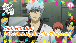 [Linh hồn bạc] Shinpachi mà tôi biết làm sao mà ngầu thế được!!!_B1