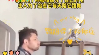 นกแก้วเป็นโรคซึมเศร้า เจ้าของจึงอยู่เป็นเพื่อนเต้นรำกับมันทุกวันเพื่อรักษา จนในที่สุดมันก็หายดีอย่าง