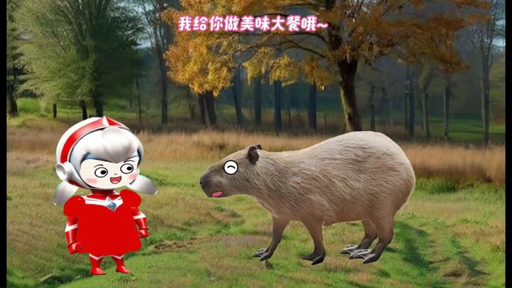 乔乔遇到大河马了