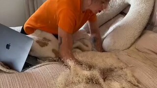 Mỗi hạt gạo đều phải vất vả mới kiếm được!