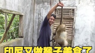 Indonesians' monkey delicacies—when Indonesians are around, even monkeys don't dare to run wild!