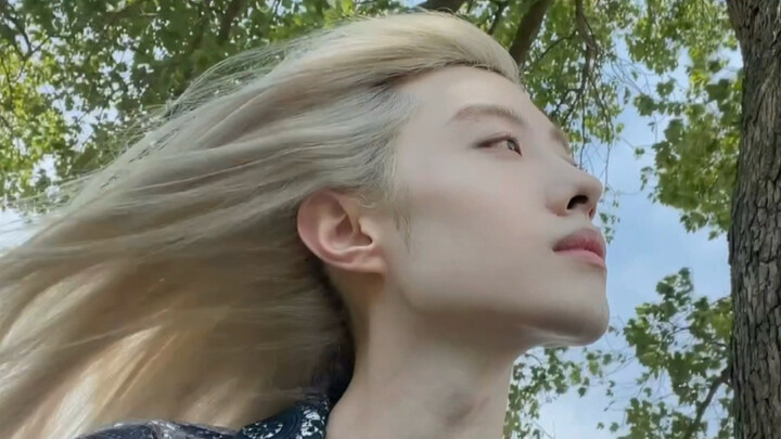 Từ hạng bốn lên hạng nhất, sức sống đen tối sẽ dẫn bạn phá vây xông ra!