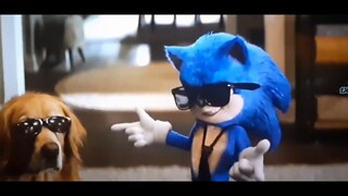 Sonic home alone. Sonic the Hedgehog 2