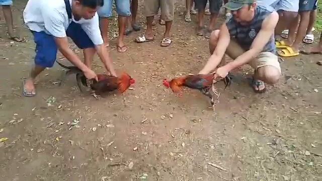 SDC Tupada galing din ng nakalaban nya