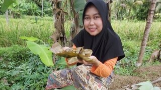 Gagal Ngonten, Jadinya Botram Di Sawah