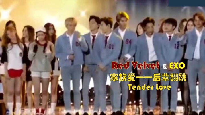 【锥毛】师妹翻跳 Tender Love，只有EXO和Red Velvet能跳出的家族内味
