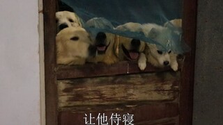 出去！你已经痊愈了！