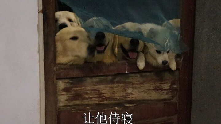 出去！你已经痊愈了！
