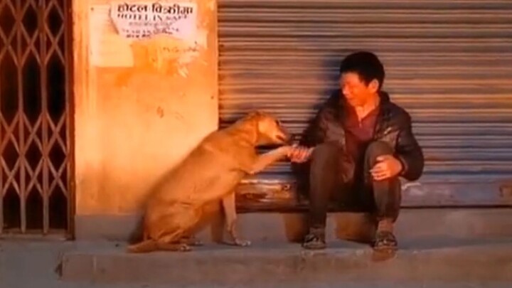 “I think I’ll fall in love with humans.”