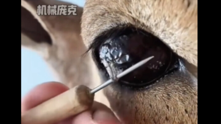 男人减速带！！熟练的工人系列