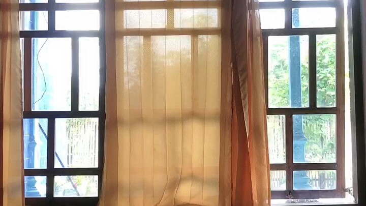 Ape nonton