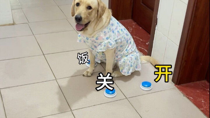 Thử thách ghép từ