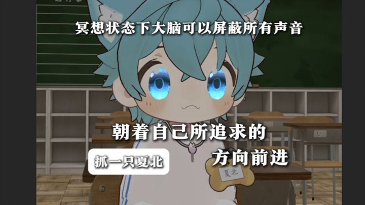 【抓一只夏北】虽然冥想状态下听不到任何声音，但是请不要忘记自己想要什么！