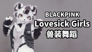 小老虎好会扭！！兽人跳粉墨Lovesick Girls【兽装舞蹈】【银碳】