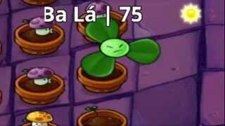 Plants Vs Zombies