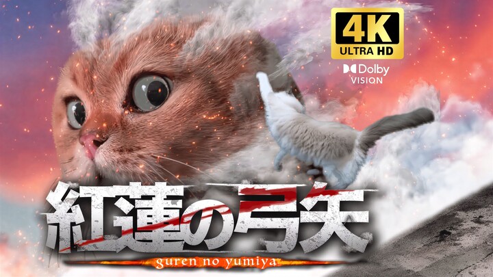 【4K Dolby Vision】Attack on Hakiimi “Busur Api Merah” – Ketakutan saat didominasi oleh Hakiimi!
