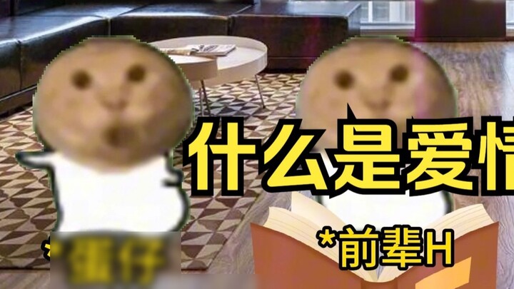 【Meme mèo】Vậy, tình yêu là gì~😘