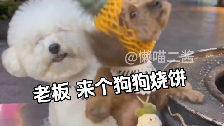 Boss, one dog-shaped pancake, pineapple flavor, please.