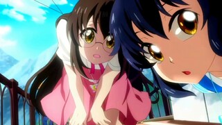 [Balala the Fairies] Which one is better, Magic Melody or Constellation Code?