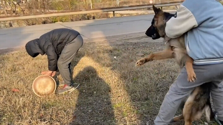 “Anjing: Saat persidangan, bawalah video rusakmu itu”