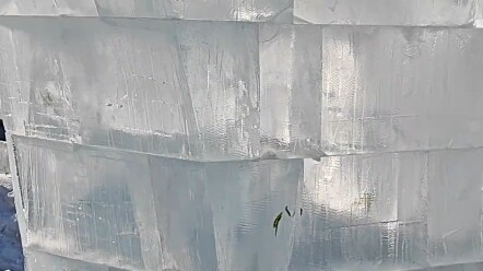 At the Harbin Flood Control Memorial Tower, a frozen fish was discovered trapped in the nearby ice s