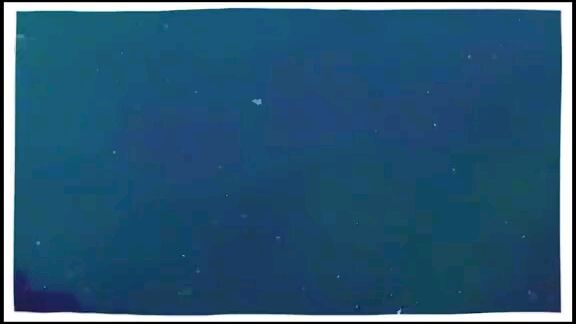 finding Nemo in 1 min