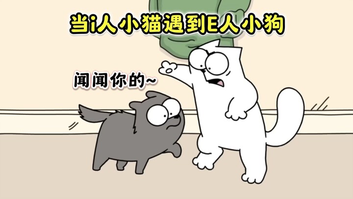 Henan Little Cat's Puppy Friend 1