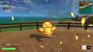 Chicken Fight