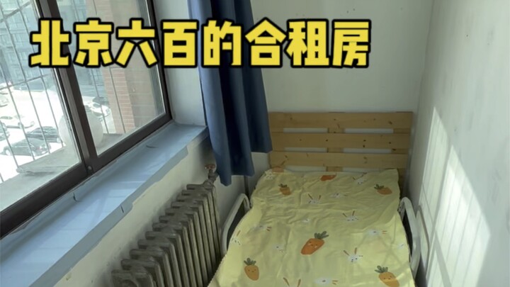 A Shared Apartment I Rent in Beijing for 600 RMB