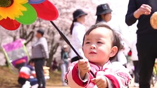 【小乖特写004】之小乖的樱花园一日游