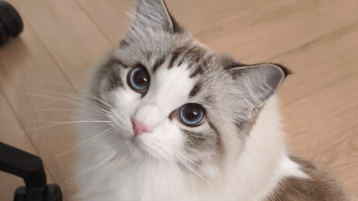 Aku cuma sebentar aja nggak peduli sama dia.