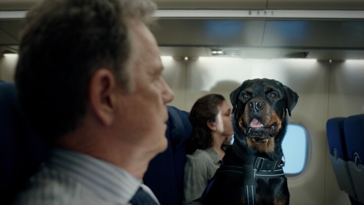 ความผิดพลาดของผู้ช่วยกลับช่วยเขาไว้ได้