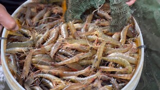 Sau cơn mưa lớn đặt lú ở đây là đầy thùng | ATCL T88