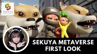 Sekuya Metaverse Project First Look