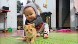 Mèo con đáng yêu - Chú mèo kêu meo meo | HEO CON TV