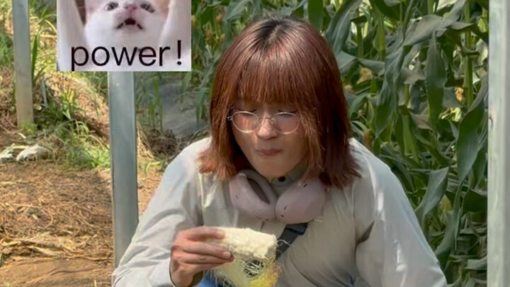 The Cornfield Teen Wishes You All the Best on Your College Entrance Exam