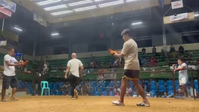 TL Sweater (Unscratched win)